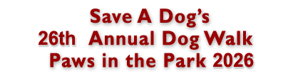 Paws in the Park