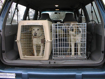 cacc-crates1