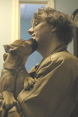 cacc-davespup