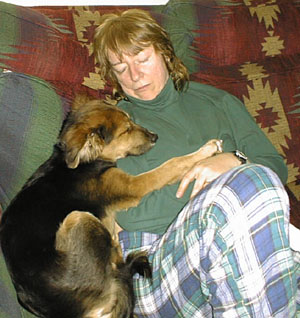 cacc-shirleyspup